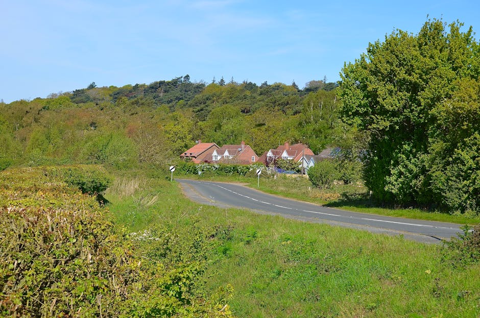 A rural scene featuring a two-lane road winding through green countryside near Gallows Corner. On the left side, low bushes and grass grow alongside the pavement, while on the right, a large, leafy tree with dense green foliage extends over the road, providing shade. In the background, a small cluster of houses with red-tiled roofs and white walls is visible, nestled among trees at the base of a gently sloping hill covered in mixed woodland and shrubbery. The weather appears clear, with a blue sky and minimal cloud cover, indicating a bright, sunny day. The image captures a peaceful residential area approached by a quiet, curved country road, illustrating typical local routes off the A127 for home relocation and furniture transport services. Man with Van Gallows Corner may use similar routes for efficient moving logistics and loading processes.