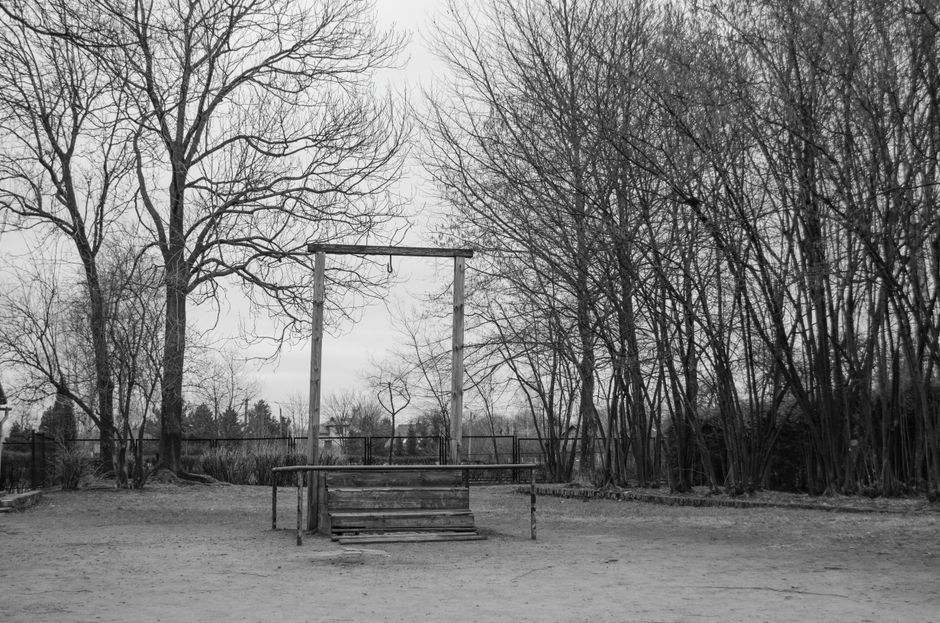 A black and white outdoor scene shows a vacant playground area with a wooden climbing frame and horizontal bars positioned in the center on a dirt ground. Surrounding the playground are tall, leafless trees indicating winter or early spring, with their bare branches extending into the overcast sky. In the background, a black metal fence encloses the area, and beyond the trees, there are more distant trees or shrubs. The overall scene appears quiet and unused, with no people or additional equipment visible, representing a typical outdoor space that might be included in photos of home relocation or moving logistics for a property in Gallows Corner, with the climbing frame and open environment emphasizing the importance of careful packing and transport of household items during furniture transport or home packing and moving processes.