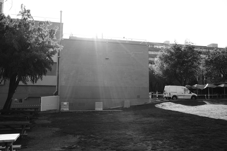 A black and white outdoor scene shows a vacant playground area with a wooden climbing frame and horizontal bars positioned in the center on a dirt ground. Surrounding the playground are tall, leafless trees indicating winter or early spring, with their bare branches extending into the overcast sky. In the background, a black metal fence encloses the area, and beyond the trees, there are more distant trees or shrubs. The overall scene appears quiet and unused, with no people or additional equipment visible, representing a typical outdoor space that might be included in photos of home relocation or moving logistics for a property in Gallows Corner, with the climbing frame and open environment emphasizing the importance of careful packing and transport of household items during furniture transport or home packing and moving processes.